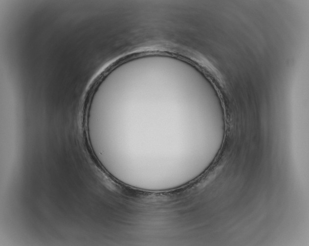 X0000112751216200908201006