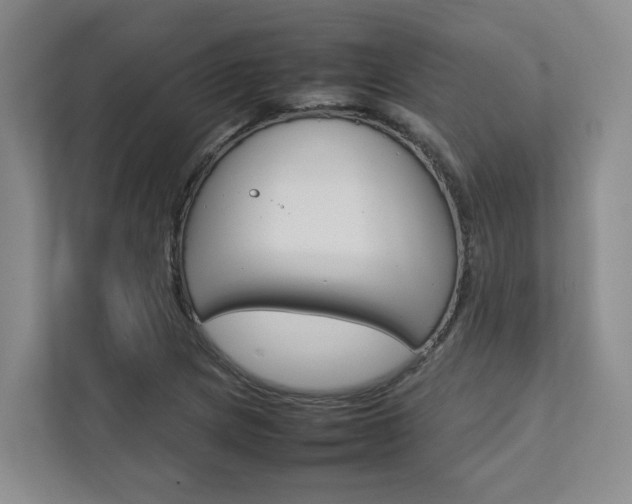 X0000112751217200908201006