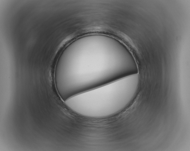 X0000112751218200908201006