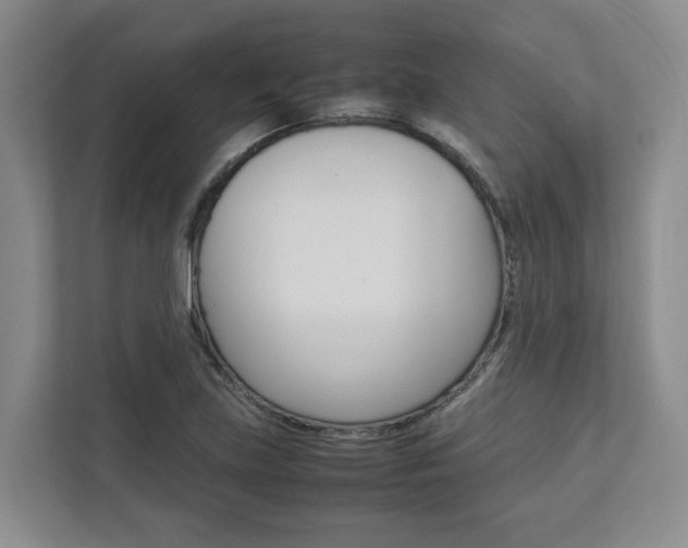 X0000112751219200908201006
