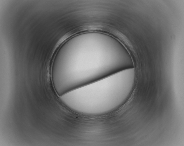 X0000112751226200908201007