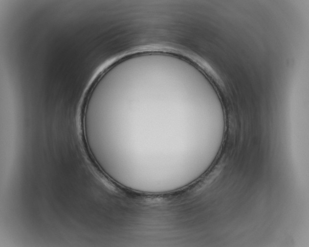 X0000112751230200908201007
