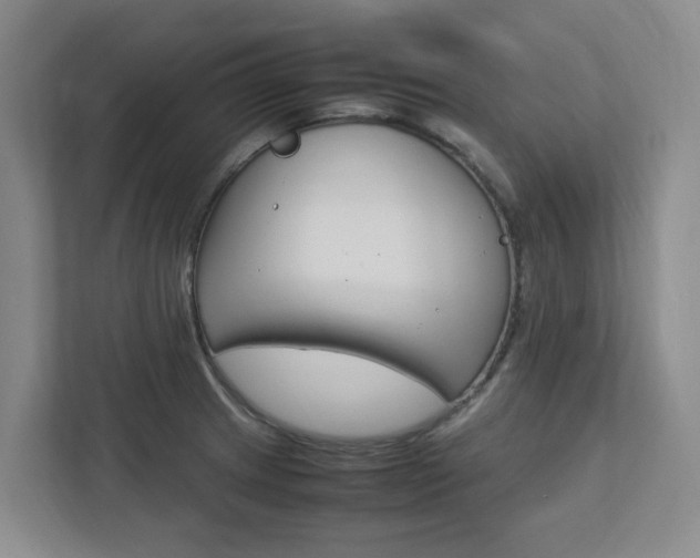 X0000112751233200908201007