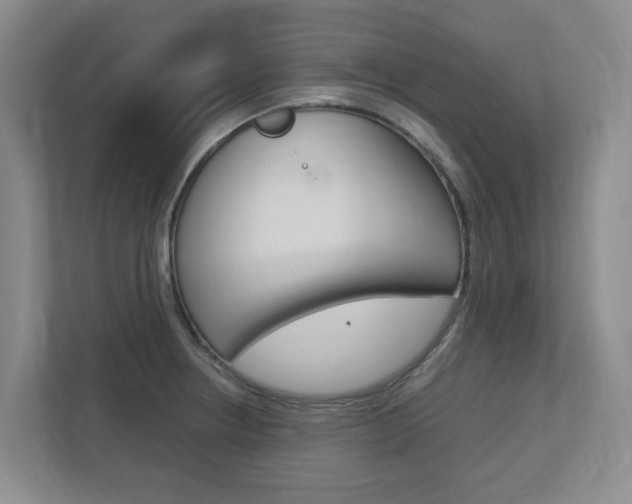 X0000112751234200908201007