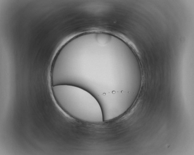 X0000112751239200908201007