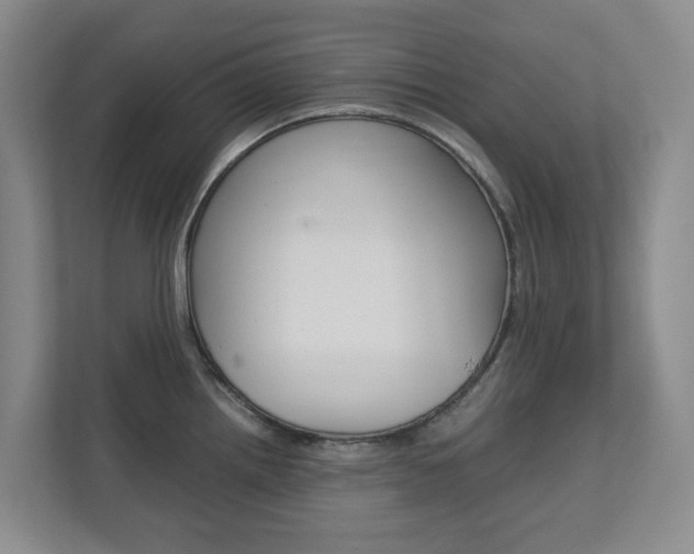 X0000112751242200908201007
