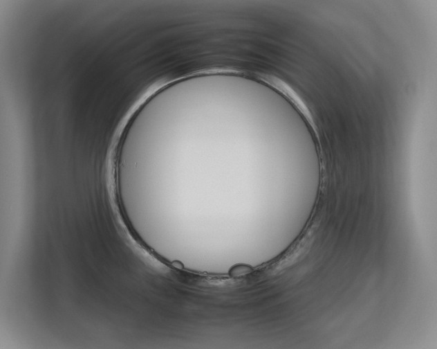 X0000112751243200908201007