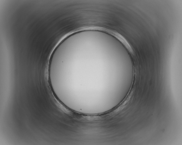 X0000112751244200908201007