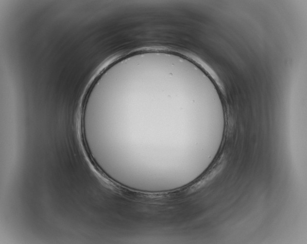 X0000112751245200908201007