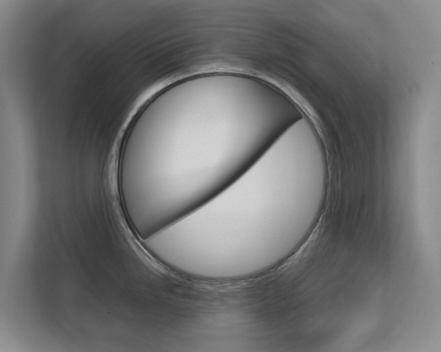 X0000112751246200908201007