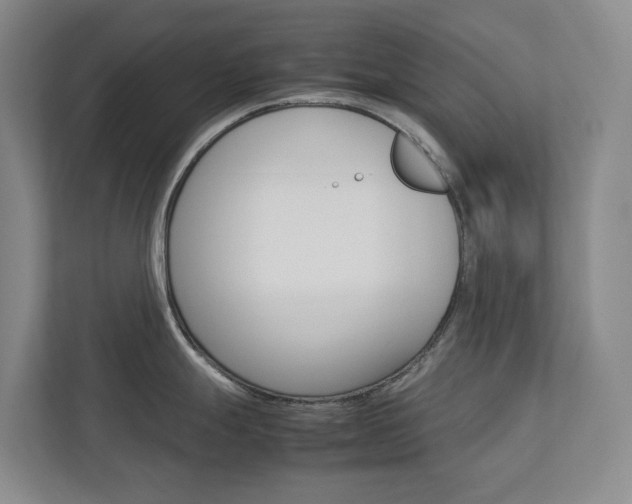X0000112751247200908201007