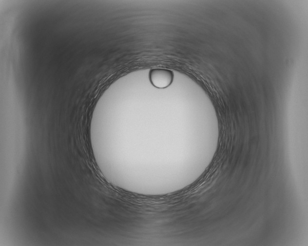 X0000112751249200908201006