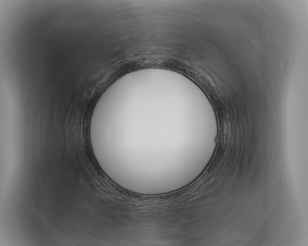 X0000112751250200908201006