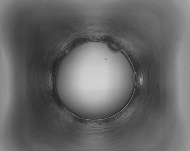 X0000112751252200908201006