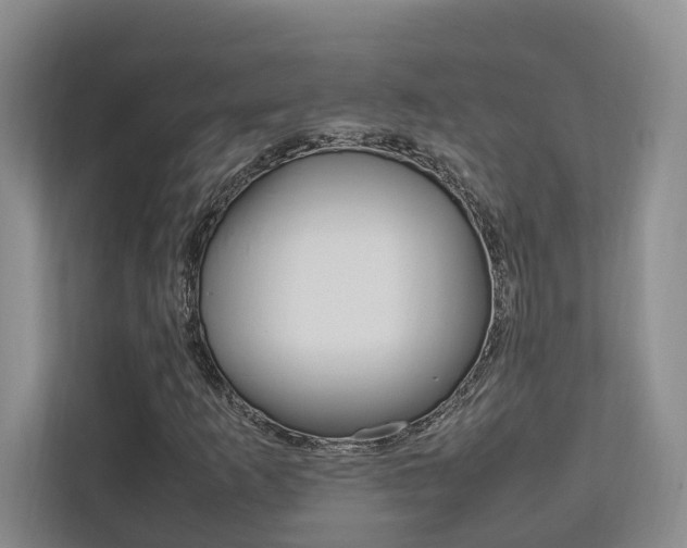 X0000112751253200908201006