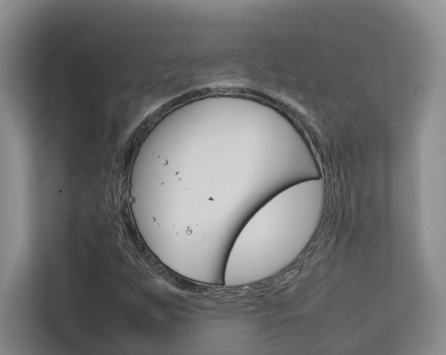 X0000112751255200908201006