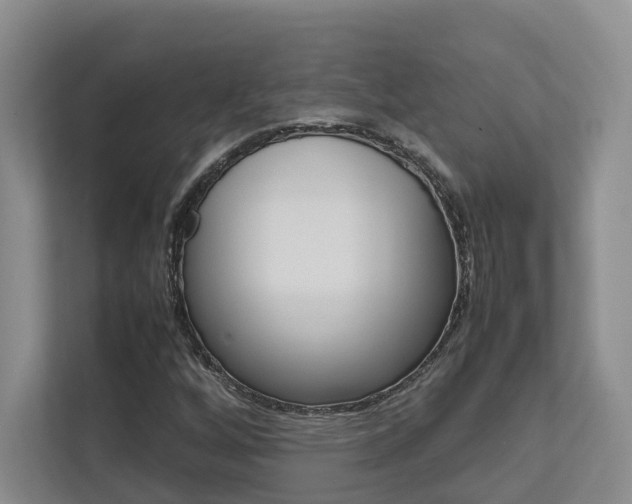 X0000112751256200908201006