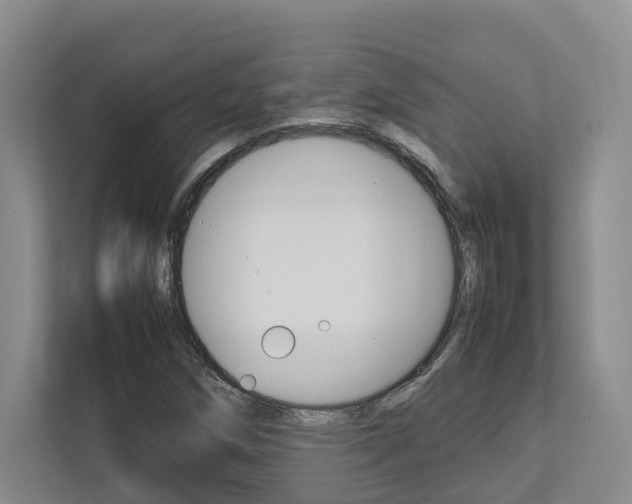 X0000112751258200908201006