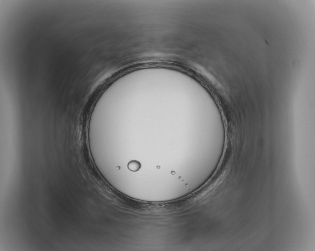 X0000112751259200908201006