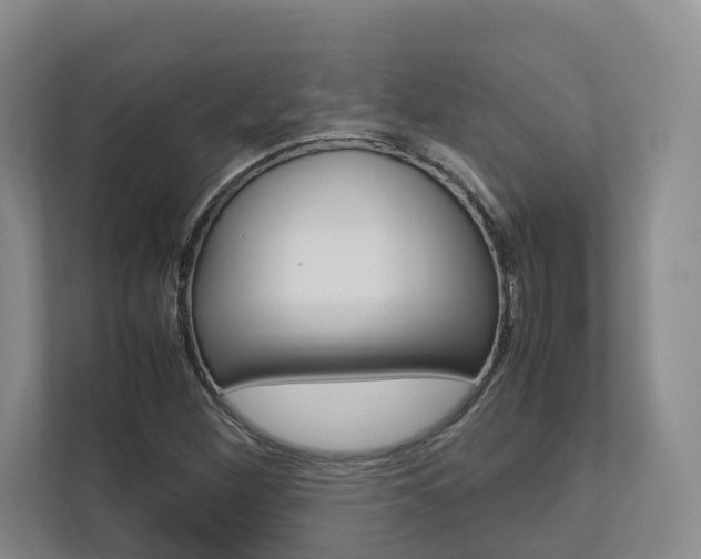 X0000112751260200908201006