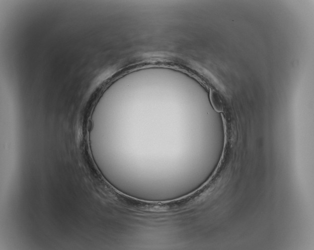 X0000112751261200908201006