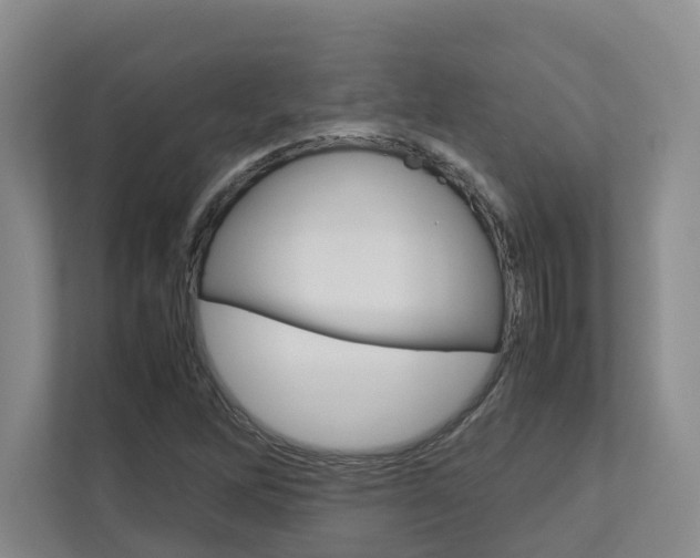 X0000112751262200908201006