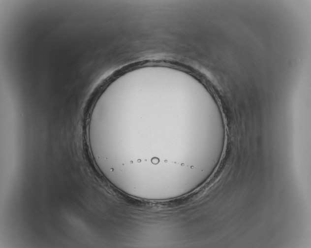 X0000112751263200908201006