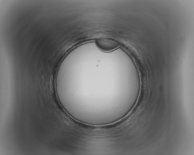X0000112751265200908201006