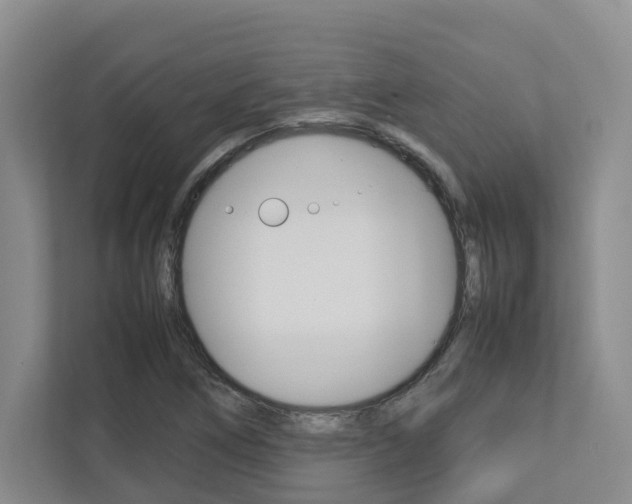 X0000112751266200908201006