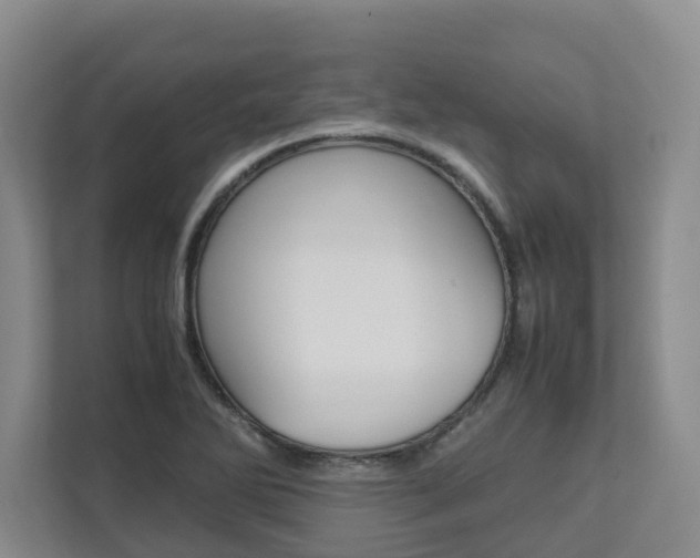 X0000112751270200908201006