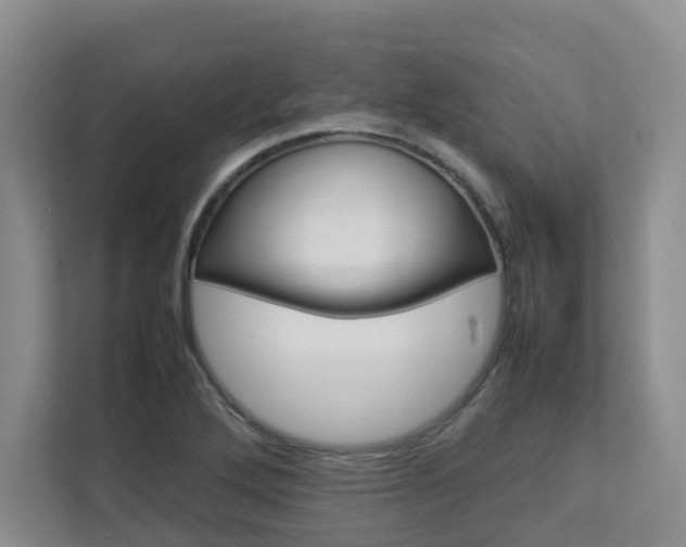 X0000112751272200908201006