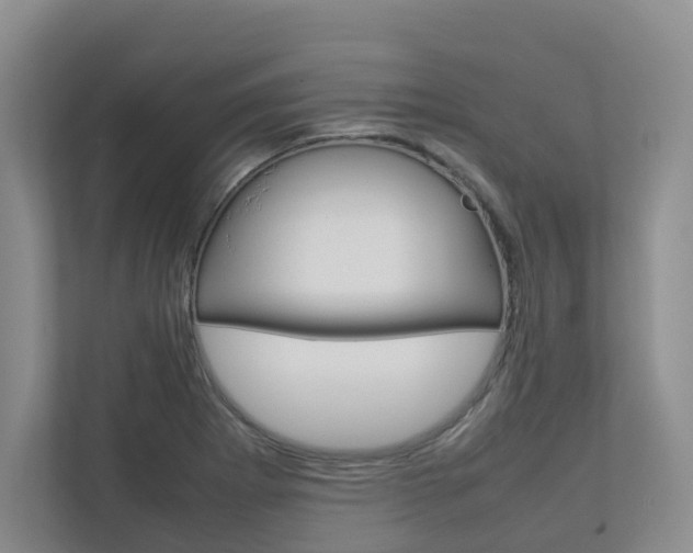 X0000112751273200908201006