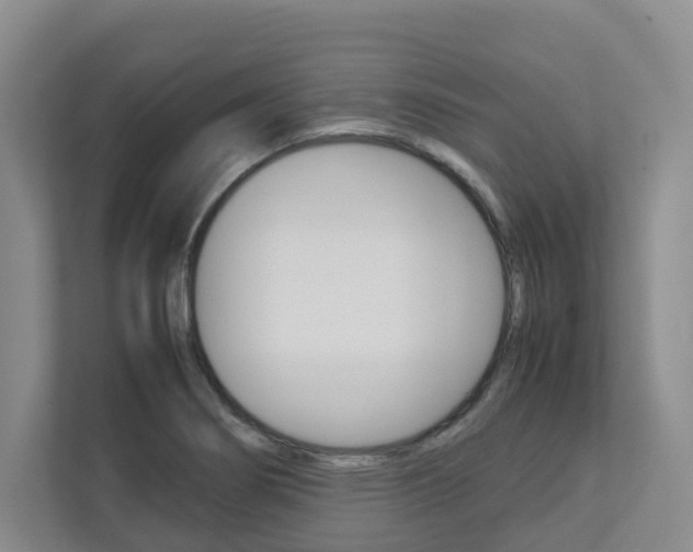 X0000112751274200908201006