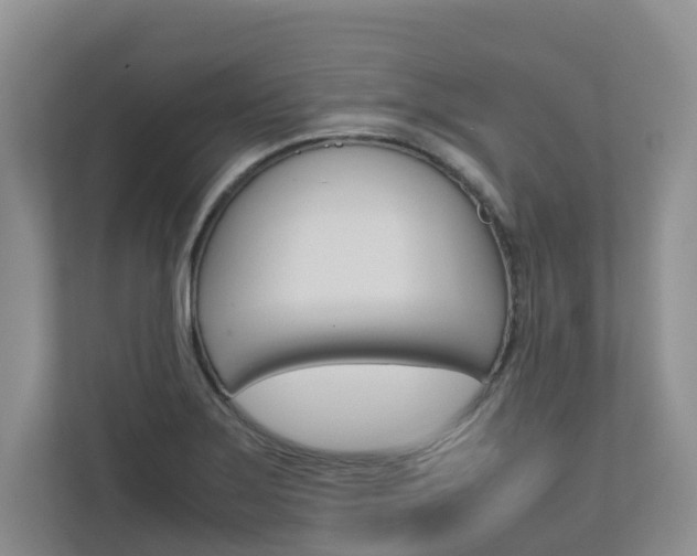 X0000112751275200908201006