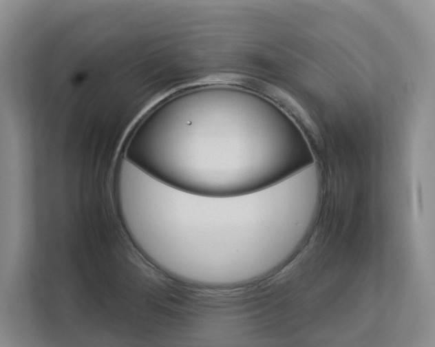 X0000112751276200908201006