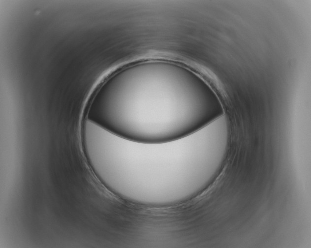 X0000112751280200908201006
