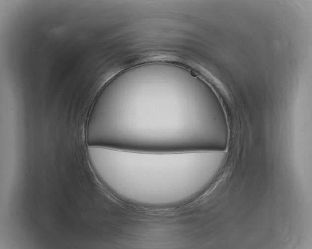 X0000112751281200908201006