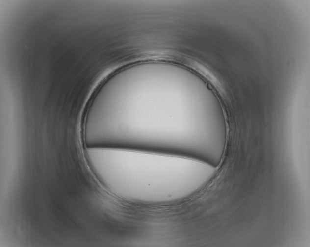 X0000112751283200908201006