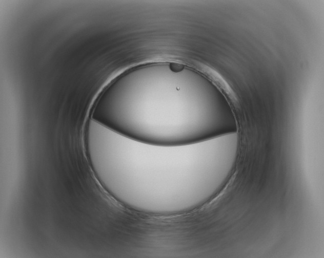 X0000112751284200908201006