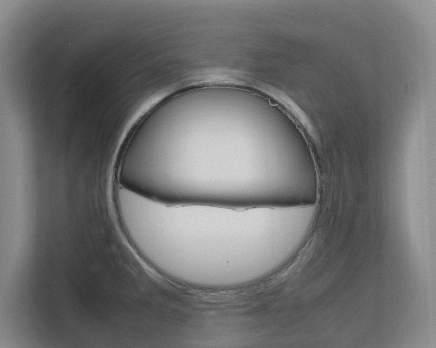 X0000112751285200908201006