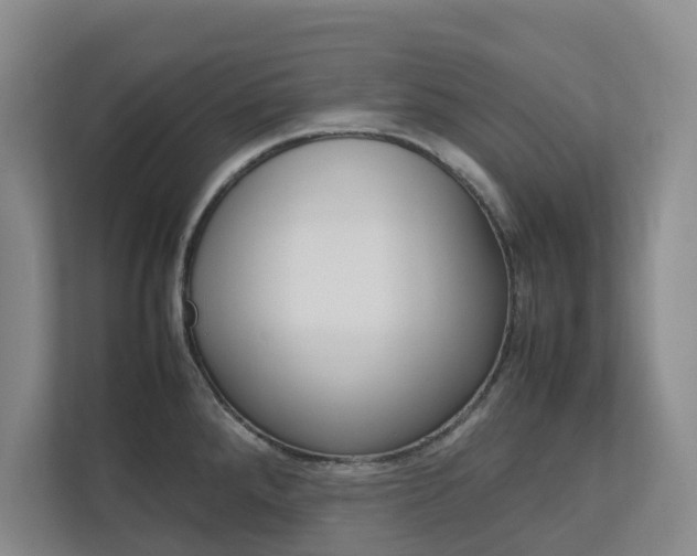 X0000112751288200908201006