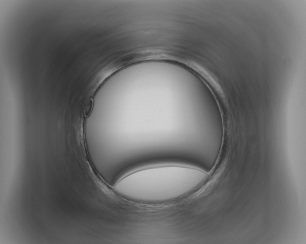 X0000112751289200908201006