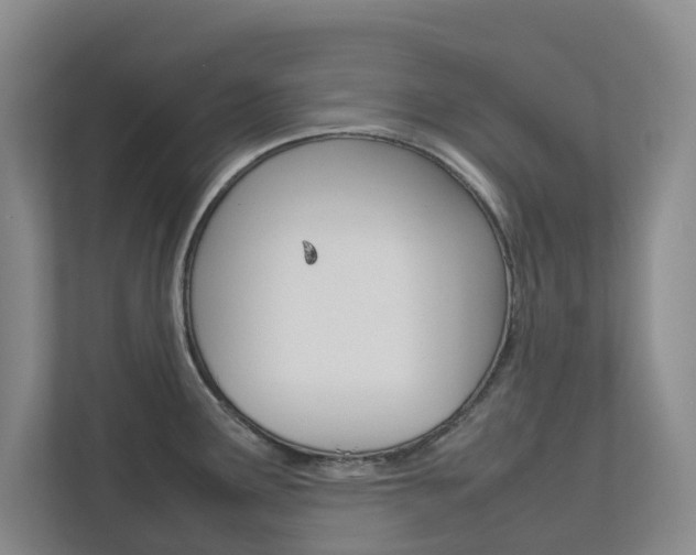 X0000112751291200908201006