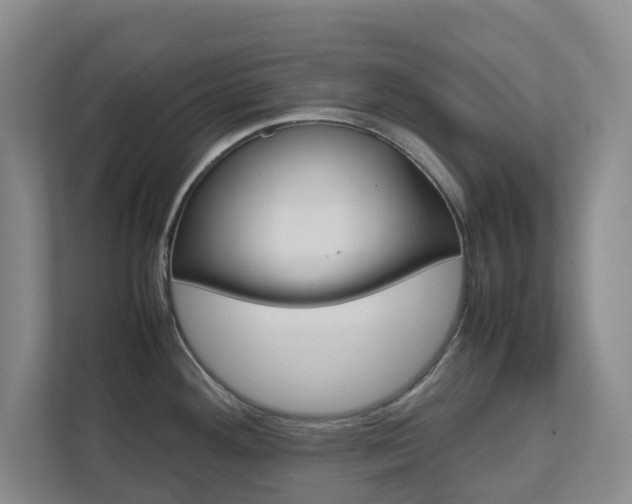 X0000112751292200908201006