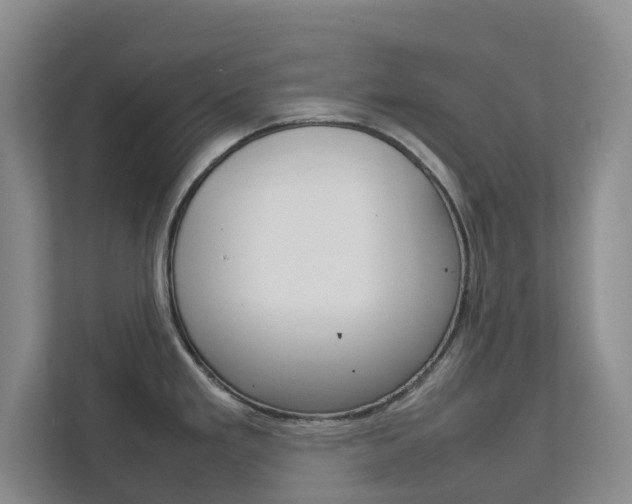 X0000112751293200908201006