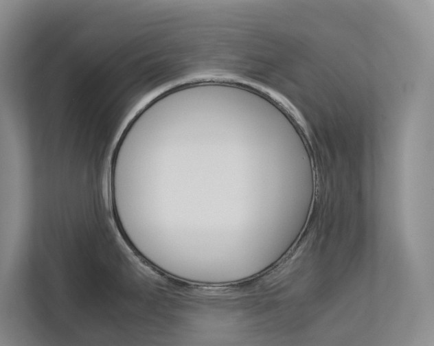 X0000112751295200908201006