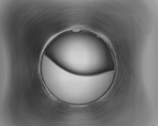 X0000112751296200908201006