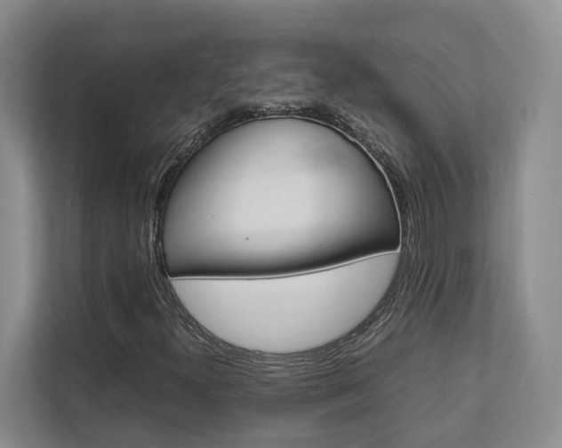 X0000112751300200908201005