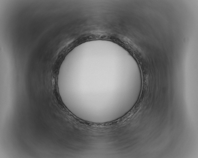 X0000112751302200908201005