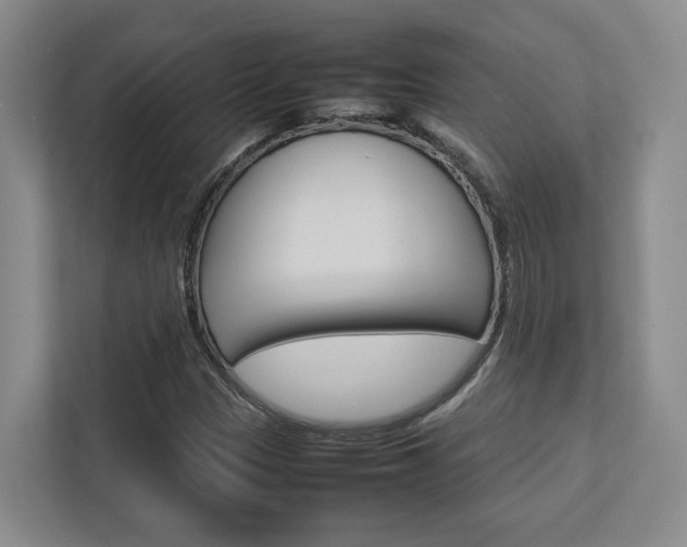 X0000112751305200908201005